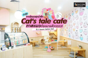cat's tale cafe - Diya Hotel Srinakarin โรงแรมมุสลิมย่านศรีนครินทร์ ใกล้สนามบินสุวรรณภูมิ